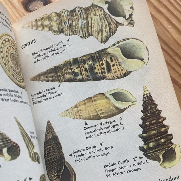 Set of 3 Vintage Golden Nature Guides - Picture 8 of 9